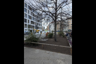 Bild Bei der Erneuerung der Lichtkuppeln am U-Bahnhof Rennweg wurde darauf geachtet, den Baumbestand zu erhalten. Die Beete werden nun bis Mitte April 2025 mit Stauden und Blumenzwiebeln unterpflanzt.