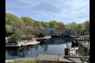 Bild Das Becken 2/3 der Delfinlagune im Tiergarten der Stadt Nürnberg. Ab Montag, 28. April 2025, wird es zusammen mit den Becken 4 und 5 saniert - daher gibt es auch Änderungen für die Gäste.