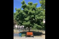 Bild Die Orangene Bank als Symbol für den Kampf gegen Gewalt an Frauen – ein Aufruf zur Solidarität am Westbad.

