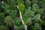 Bild Der Klimawaldpfad führt Gäste steigungsfrei durch alle Stockwerke des Waldes – vom Boden bis zur Krone. Ermöglicht wurde er durch eine Förderung der Zukunftsstiftung der Sparkasse Nürnberg in Höhe von 4,1 Millionen Euro.