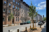 Bild Die Murrstraße in Gostenhof wurde umgestaltet, dadurch wurden acht neue Baumstandorte geschaffen.