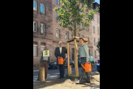 Bild Dank der großzügigen Spende der „Bäume für Nürnberg Stiftung“ konnten acht neue Bäume in der Murrstraße finanziert werden. (V.l.n.r.: Mathias Schmidt, Vorstandsvorsitzender der „Bäume für Nürnberg Stiftung", Bürgermeister und Erster Sör-Werkleiter Christian Vogel und Sör-Stadtbaummanager Florian Demling)