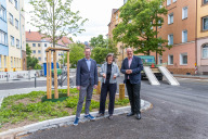 Bild Von links: Planungs- und Baureferent Daniel F. Ulrich, die Referentin für Umwelt und Gesundheit und Erste Werkleiterin des Eigenbetriebs Sun, Britta Walthelm, sowie Bürgermeister und Erster Sör-Werkleiter Christian Vogel statten den im Frühjahr 2025 gepflanzten Winterlinden in der Sperberstraße einen Besuch ab.
