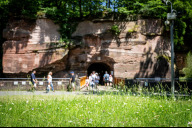 Bild Besucherinnen und Besucher können am Samstag, 21. Juni 2025, ab 17 Uhr für ihr Picknick insgesamt vier Wiesen im Tiergarten nutzen, unter anderem die Wiese vor dem Raubtierhaus.
