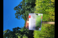 Bild Blühwiese im Tiergarten Nürnberg: Insektenreich auf der Nashornwiese.