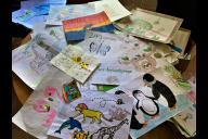 Bild Rund 700 Kinder und Jugendliche hatten am ersten Ferientag 2023 ein selbstgemaltes Bild abgegeben und so freien Eintritt in den Tiergarten Nürnberg erhalten. Hier eine kleine Auswahl der Kunstwerke. 