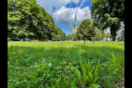 Bild Der Berliner Platz: Genug Raum für eine eingezäunte Hundeauslauffläche, zehn Sitzbänke, vier Sitzdecks, neun neue Bäume, Hecken und Blühwiesen.