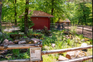 Bild Die neue Meerschweinchenanlage im Tiergarten Nürnberg – hier finden Besucherinnen und Besucher Ideen für eine kombinierte Innen- und Außenhaltung. 