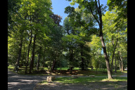 Bild Viel Grün aber wenig Aufenthaltsqualität rund um den Marktplatz in der Platnersberg-Anlage: Das soll sich künftig ändern.