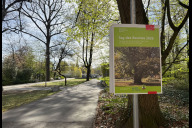 Bild Tag des Baumes 2026: Sör bietet gemeinsam mit dem Bund Naturschutz und der Bäume für Nürnberg Stiftung ein vielfältiges Programm im Nürnberger Stadtpark.