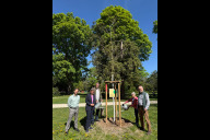 Bild Zum Tag des Baums am Samstag, 25. April 2026, wurde im Nürnberger Stadtpark feierlich eine „Weidenblättrige Eiche“ am Ost-Eingang des Stadtparks gepflanzt und getauft. Von links nach rechts: Florian Demling, Sör-Stadtbaummanager, Britta Walthelm, Referentin für Umwelt und Gesundheit, Ronald Höfler, kaufmännischer Werkleiter Sör, Margit Grüll von der Bäume für Nürnberg Stiftung und Mathias-Kai Schmidt, Bund Naturschutz.