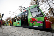 Bild Seit Freitag, 31. Oktober 2025, fährt die neue Tiergartenstraßenbahn als Botschafterin für den Erhalt der Artenvielfalt durch das Stadtgebiet. Über 200 Kinder haben sich an dem Malwettbewerb beteiligt,  die Kunstwerke von 35 von ihnen sind in den kommenden drei Jahren auf der Straßenbahn zu sehen.