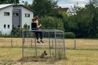 Bild Der Westpark: eine Parkanlage, die zum Spielen, zur Erholung, zur Bewegung und zum Naturerleben einlädt. Gassi gehen und Internet an der frischen Luft sind ebenfalls möglich.