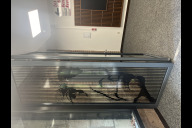 Bild Eingangstür mit Porträt Hermann Kestens.