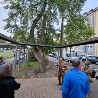 ( Bild: Stadtplanungsamt / Stadt Nürnberg )