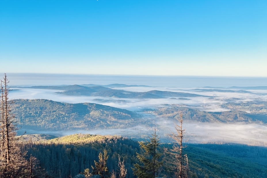 Blick vom großen Falkenstein, Bild © Hartwig / RDF Nürnberg