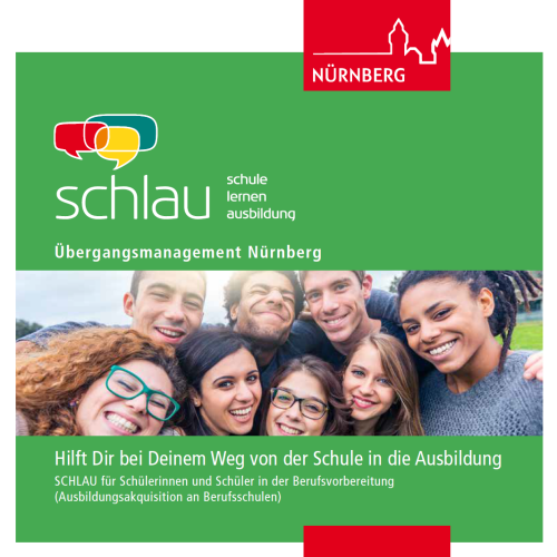 Flyer Team SCHLAU für Berufsschulen