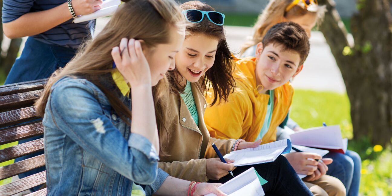education, high school and people concept - group of happy teenage students with notebooks learning at campus yard, Bild © Copyright (c) 2016 Ground Picture/Shutterstock.  No use without permission.