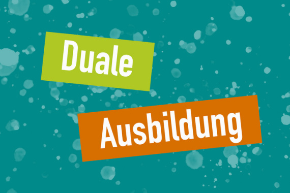 Grafik: Duale Ausbildung