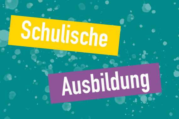 Grafik: Schulische Ausbildung