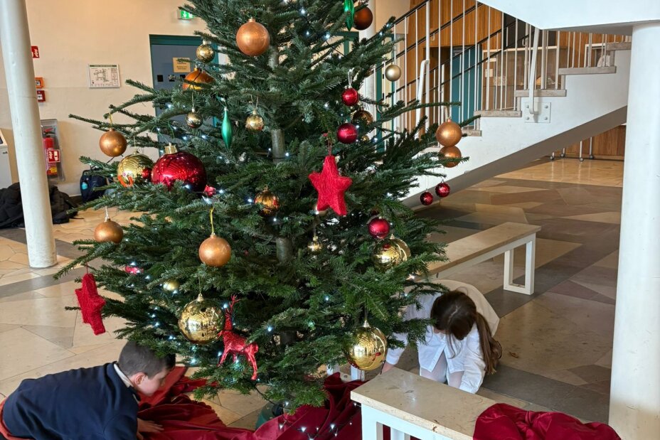 Bild © T. Metz / Sigena-Gymnasium Geschmückter Christbaum in der Aula, Bild © T. Metz / Sigena-Gymnasium