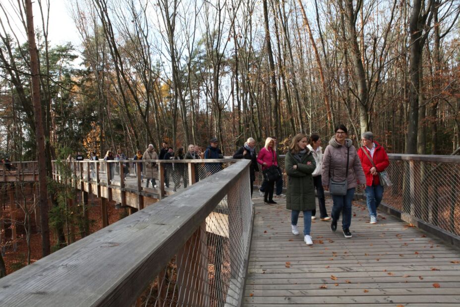 Eine Schülergruppe läuft auf einem Holzsteg zum Blauen Salon, Bild © T. Metz / Sigena-Gymnasium