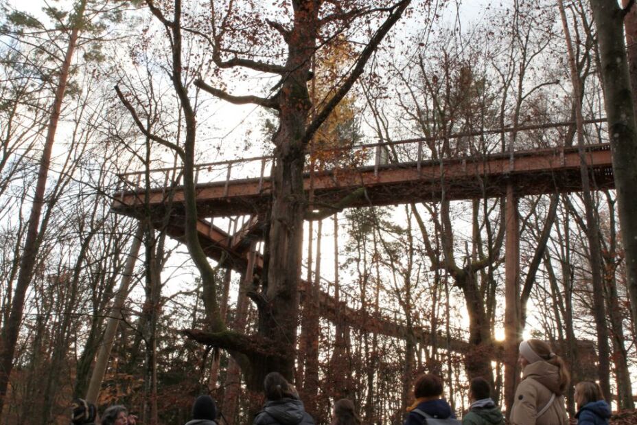 Eine Schülergruppe vor dem Baumwipfelpfad, Bild © T. Metz / Sigena-Gymnasium