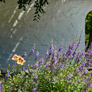 Stadtpark - Impressionen