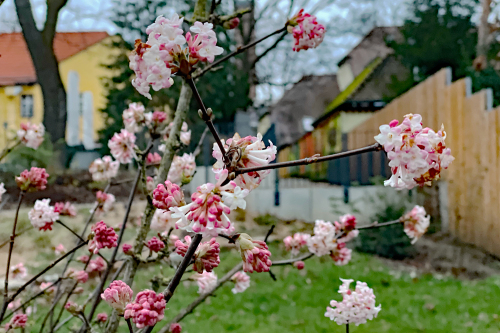 Frühling im Hummelsteiner Park. © André Winkel / Stadt Nürnberg
