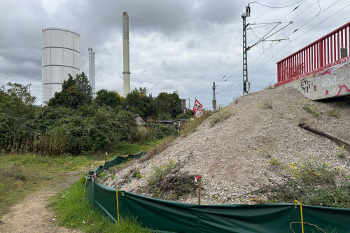 FSW-Lagerfläche im Gleisdreieck: Um die lokale Eidechsenpopulation zu schützen wurde ein Reptilienschutzzaun entlang der beiden Eisenbahnböschungen aufgestellt, die das Gelände im Westen und Osten einfassen.