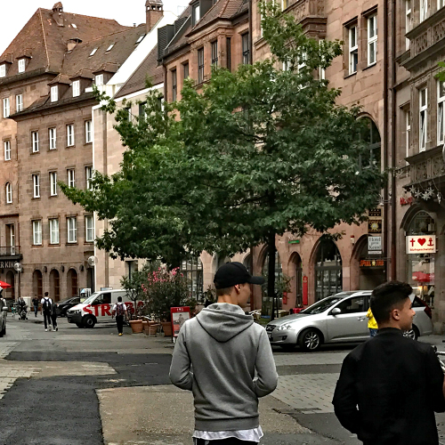 Baum in der Luitpoldstraße