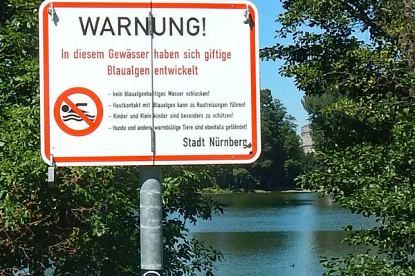 Warnschild Blaualgen
