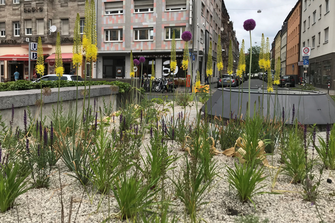 Bild © André Winkel / Stadt Nürnberg Staudenbeete rund um den U-Bahnhof Gostenhof an der Fürther Straße, Bild © André Winkel / Stadt Nürnberg
