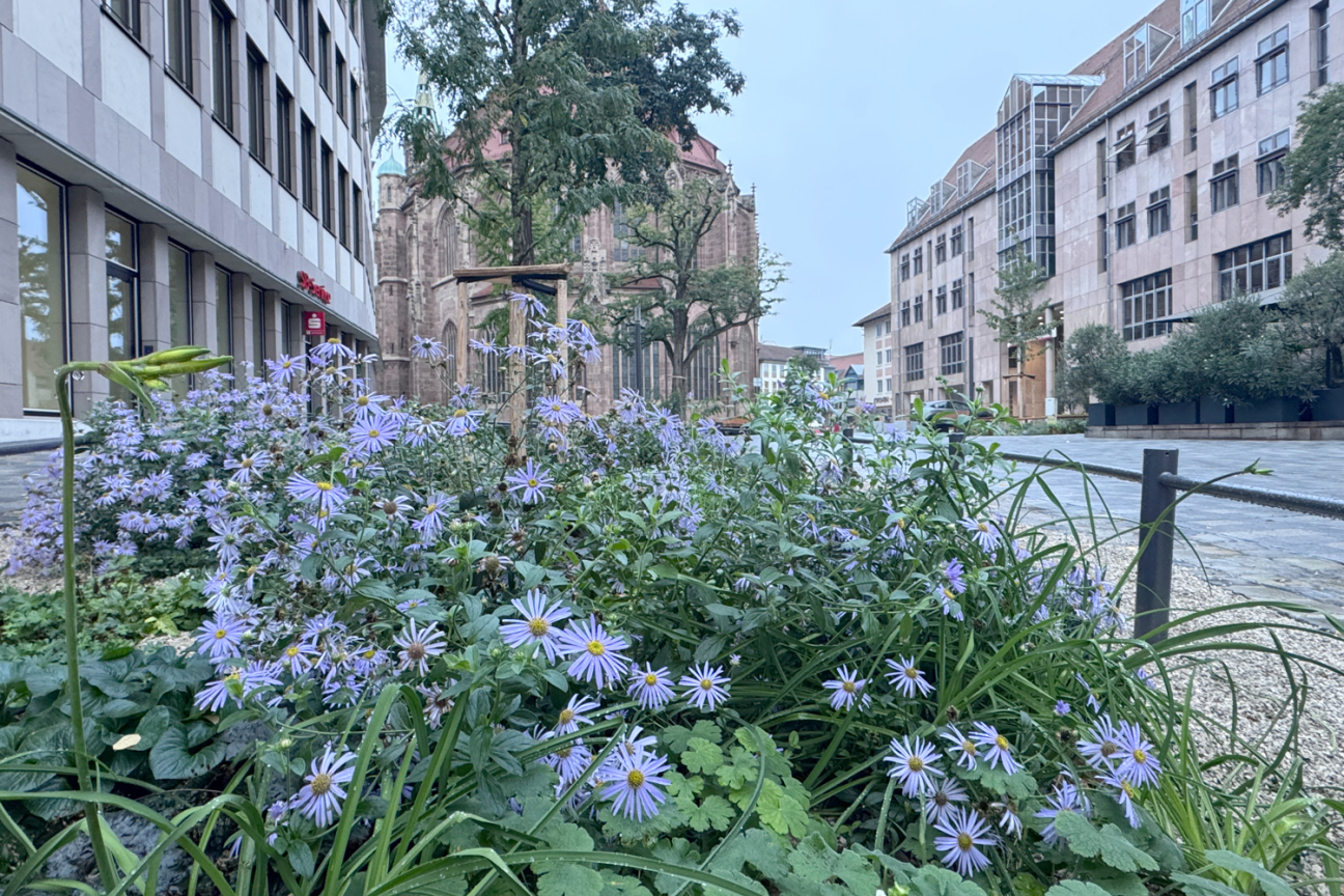 Lorenzer Platz, Bild © André Winkel / Stadt Nürnberg