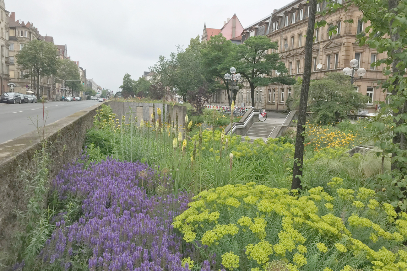 Bild © André Winkel / Stadt Nürnberg Staudenbeete rund um den U-Bahnhof Gostenhof an der Fürther Straße, Bild © André Winkel / Stadt Nürnberg