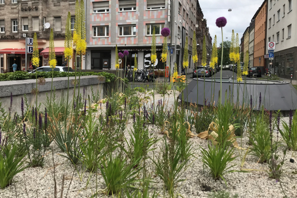Staudenbeete rund um den U-Bahnhof Gostenhof an der Fürther Straße