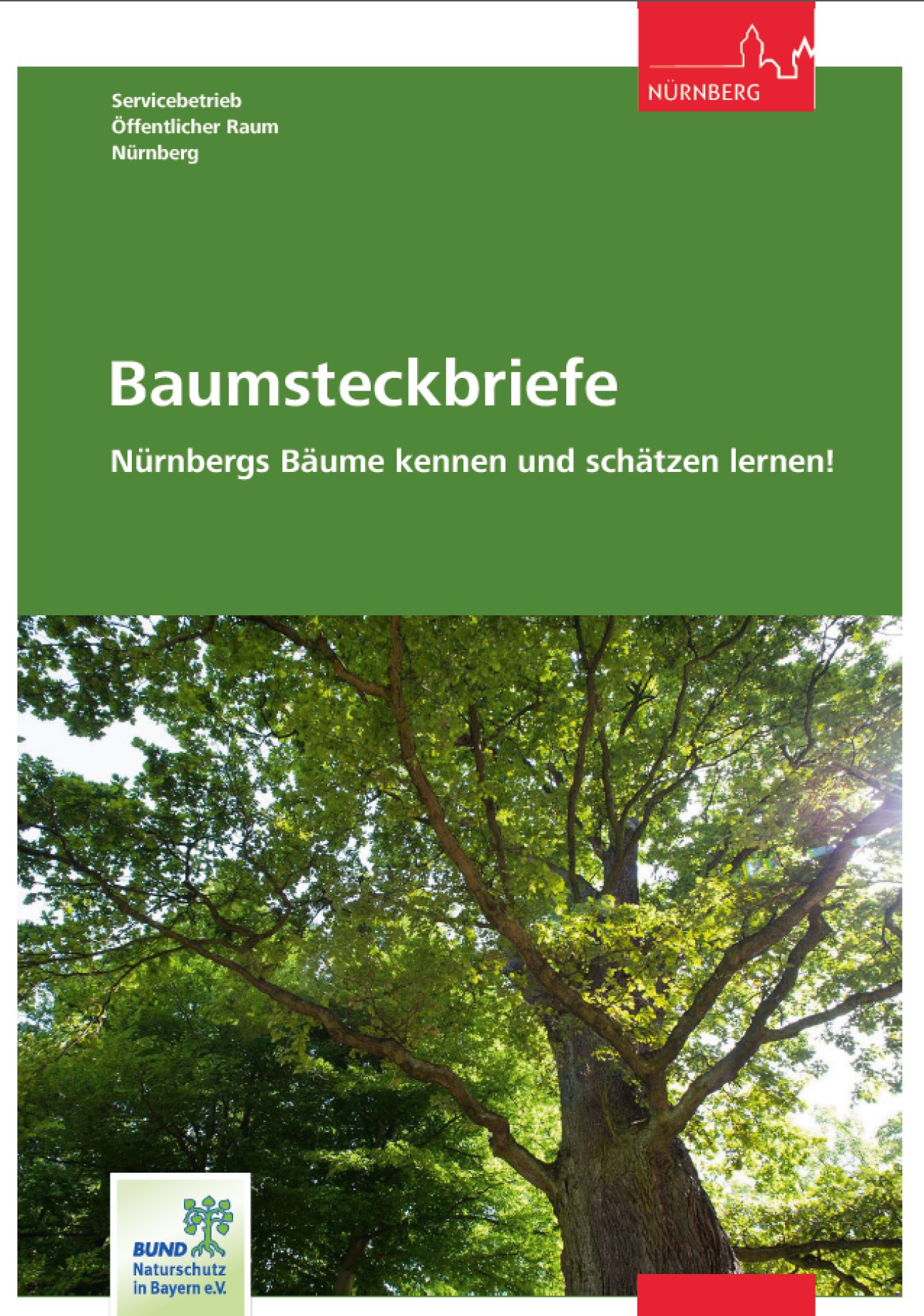 Cover Baumsteckbriefe, Bild © SÖR / Stadt Nürnberg