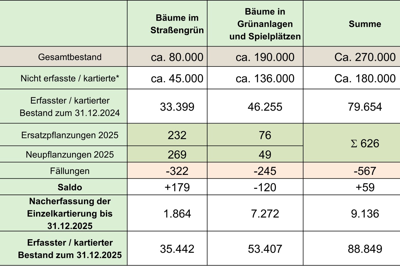 Baumbilanz2025 Baumbericht