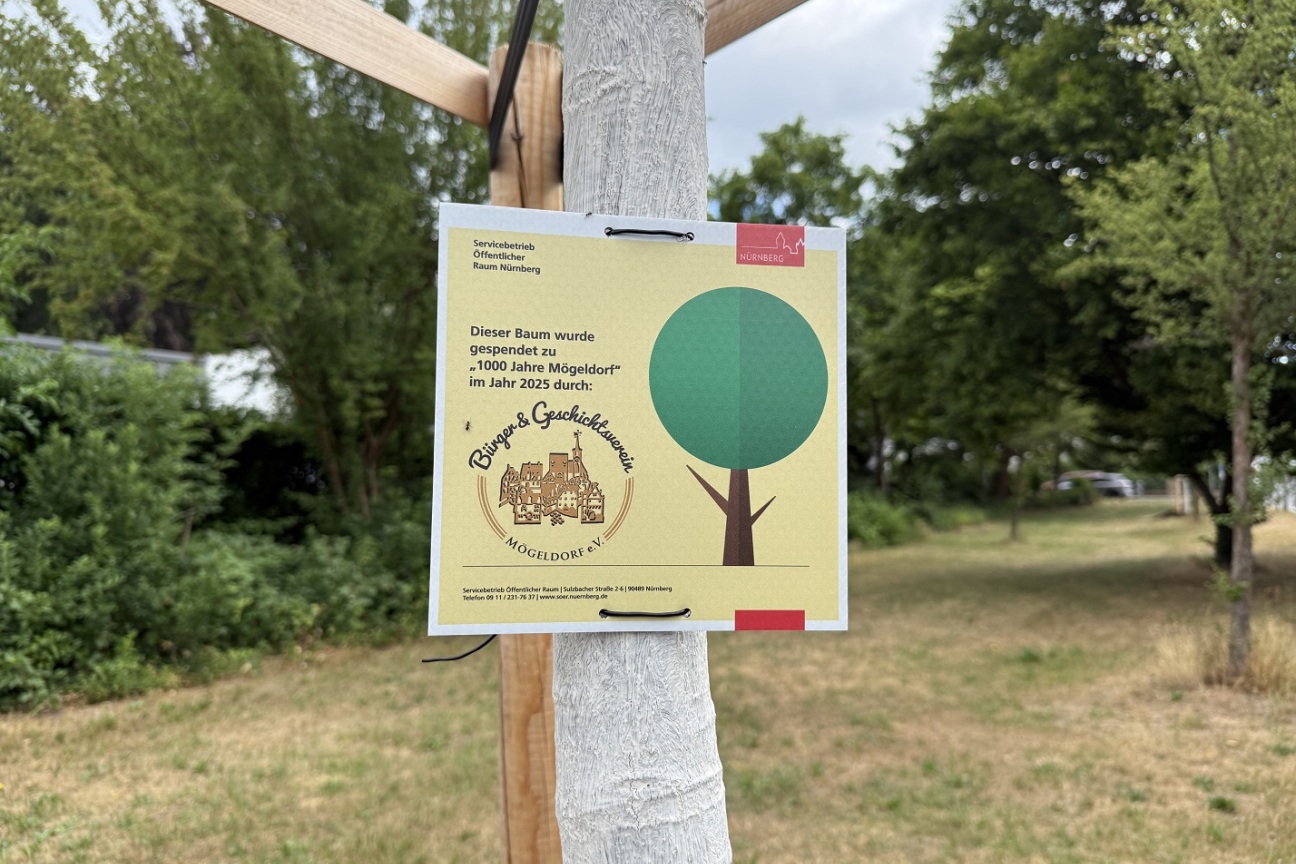 Bild © Kathrin Lehnerer / SÖR / Stadt Nürnberg Baumspende 1000 Jahre Mögeldorf, Bild © Kathrin Lehnerer / SÖR / Stadt Nürnberg