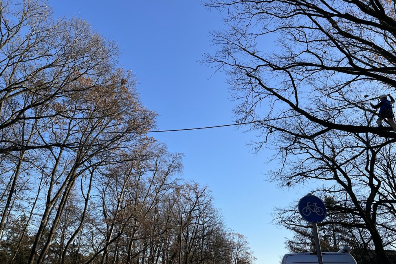 Eichhörnchenbrücke über der Eichendorffstraße, Bild © Florian Demling / SÖR / Stadt Nürnberg