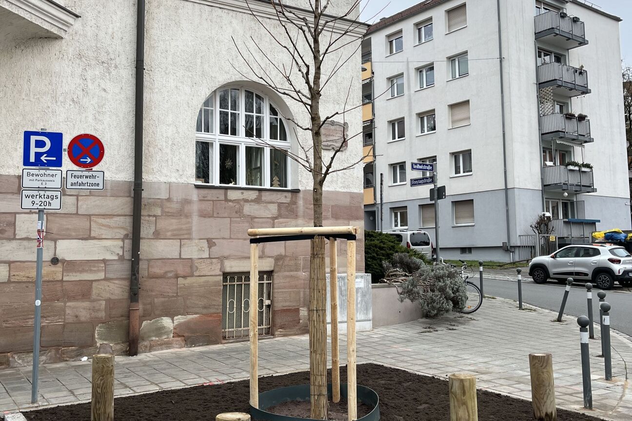 Veilhofstr Baumpflanzung 2025
