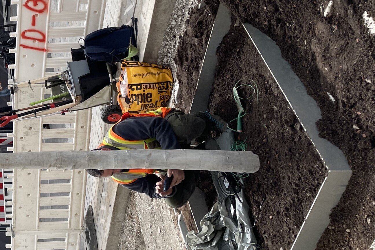 Baumstandort Breite Gasse Sensorinstallation
