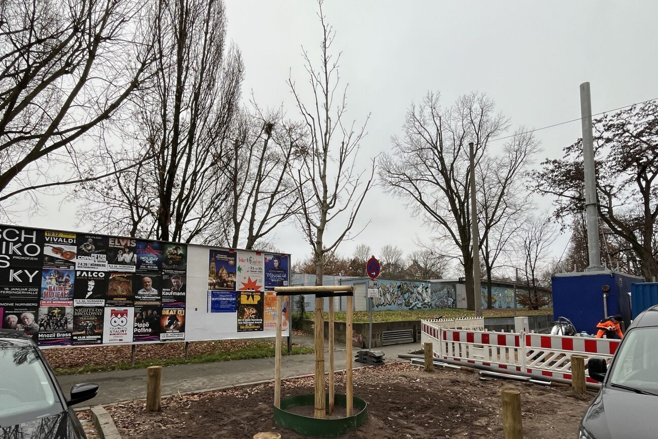 Wiesentalstr Baumpflanzung 2025