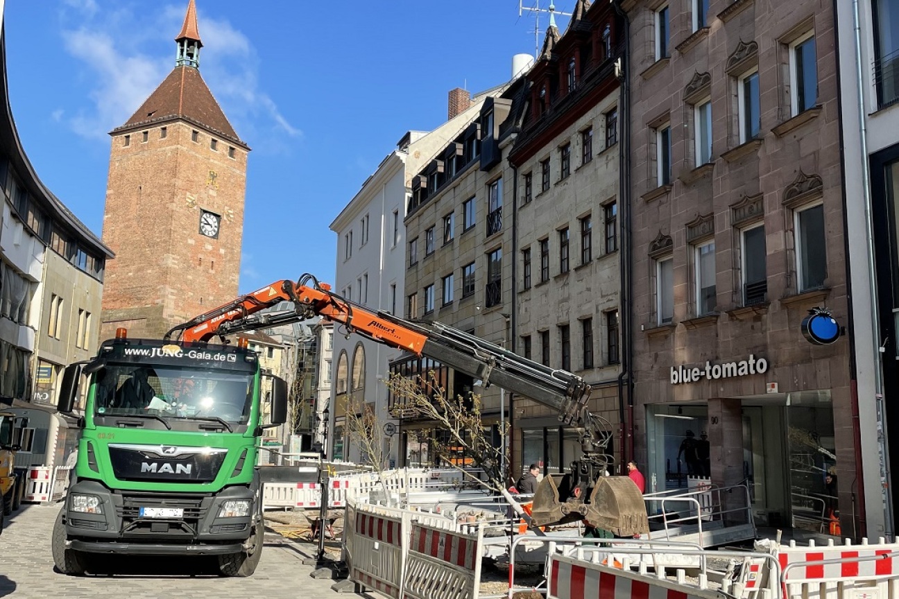 Baumstandort Breite Gasse Baumpflanzung, Bild © Florian Demling / SÖR / Stadt Nürnberg