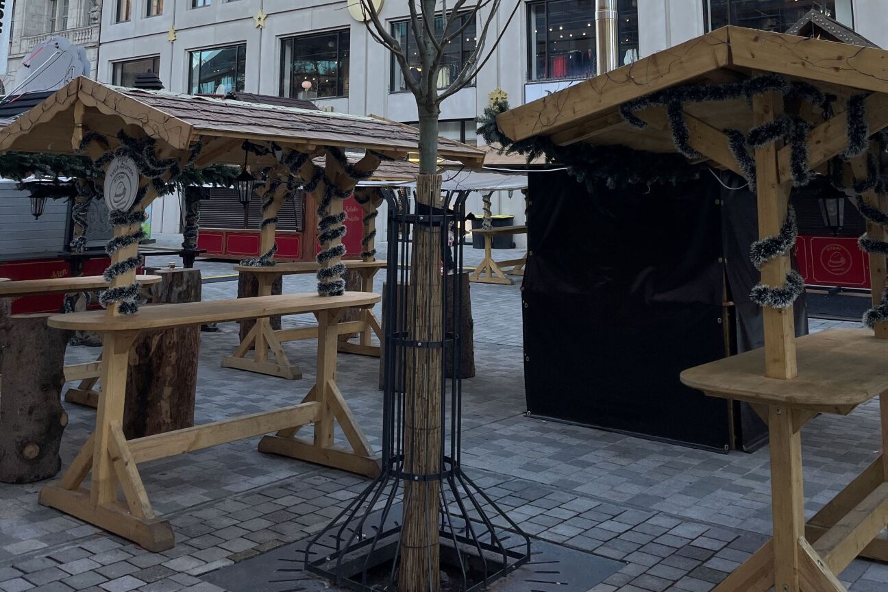 Ludwigspl-Süd Baumpflanzung 2025