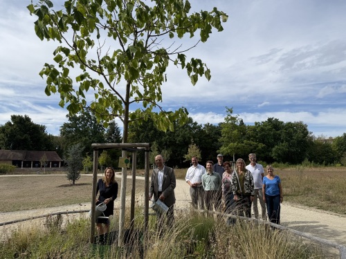 Baumspende Züricher Park Bürgerverein West Baumtaufe