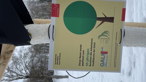 © Florian Demling / SÖR / Stadt Nürnberg Schild zum Jubiläumsbaum GALK Marienbergpark © Florian Demling / SÖR / Stadt Nürnberg
