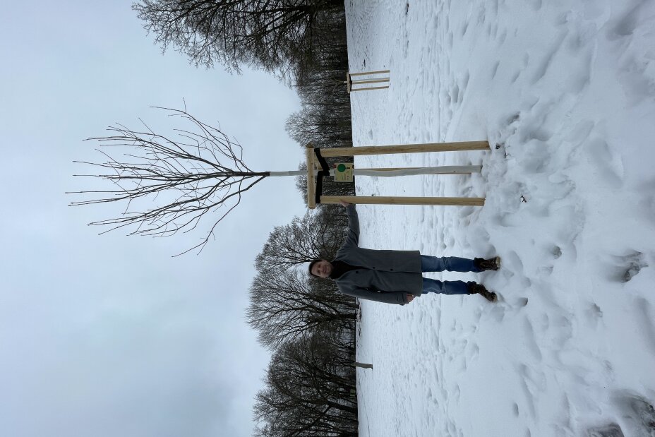 Stadtbaummanager Florian Demling mit GALK Baum im Marienbergpark, Bild © SÖR / Stadt Nürnberg