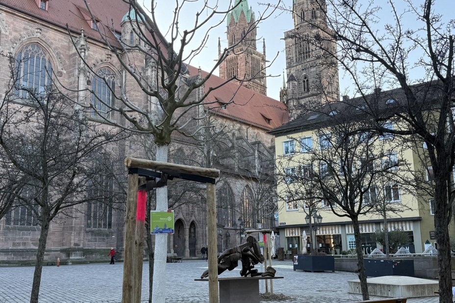 Bild © Kathrin Lehnerer / SÖR / Stadt Nürnberg 2025 Baumspende Rotary Connect Lorenzer Platz, Bild © Kathrin Lehnerer / SÖR / Stadt Nürnberg