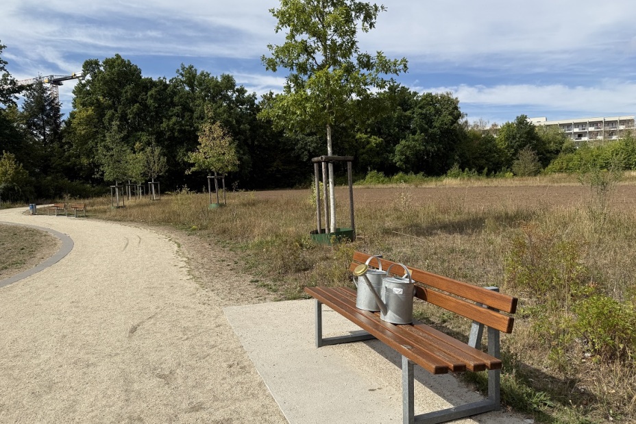 Bild © Kathrin Lehnerer / SÖR / Stadt Nürnberg Baumspende Züricher Park Bürgerverein West Bankspende, Bild © Kathrin Lehnerer / SÖR / Stadt Nürnberg